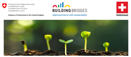 BuildingBridgesEvent4.png